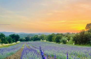 Agriturismo CasaViVa - Photo 15