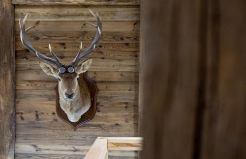 Chalet Le Lodge - Foto 19