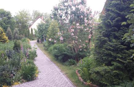 Kwiatowa Zagroda - Foto 21