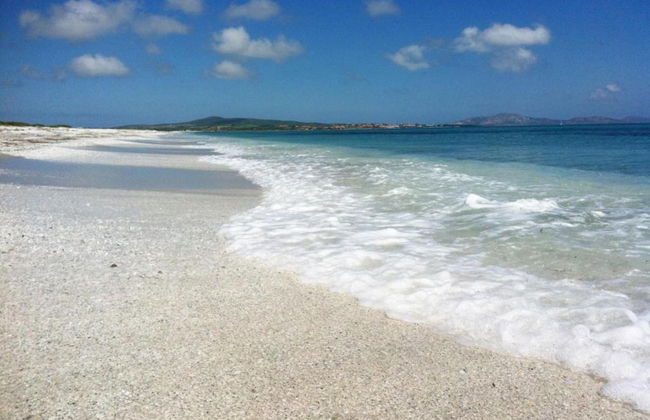 Detached Villa With Garden in Stintino - Foto 41