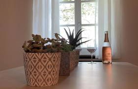 Laficaia Wine Resort - Foto 12