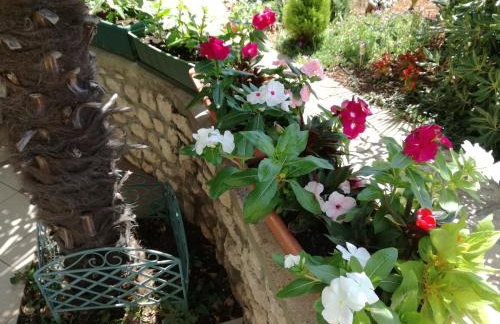 Apartments Barbara - Photo 36