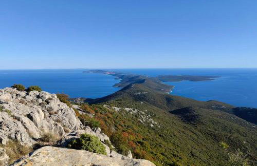 House Tuna - Foto 36