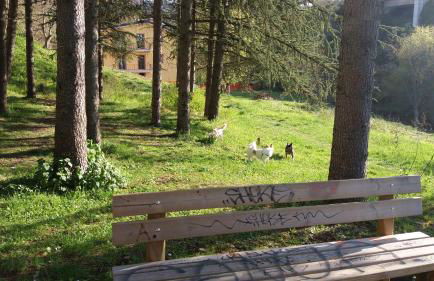 Villa Center appartamenti nel verde in città - Foto 14