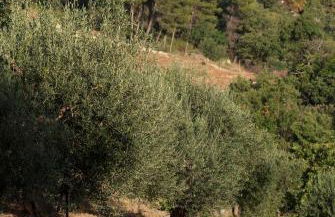 Agriturismo Al Poggetto - Foto 108