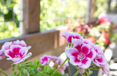 Villa Roxani - Foto 43