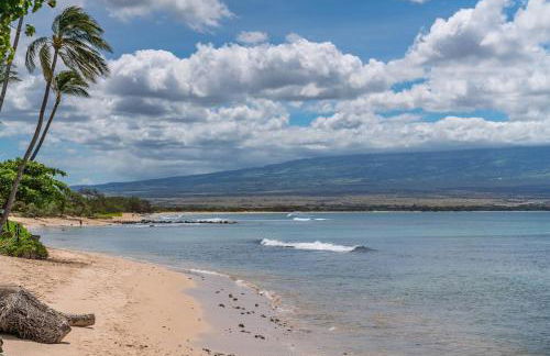 Direct Oceanfront—Fully remodeled—Sleeps 6 - Foto 21