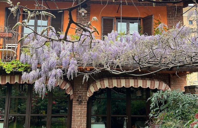 La casa Arancione - Foto 73