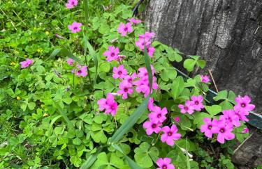 Casa Lastri - Foto 17