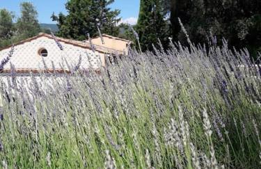 Pool House Renoir with heated pool and private garden - Foto 27