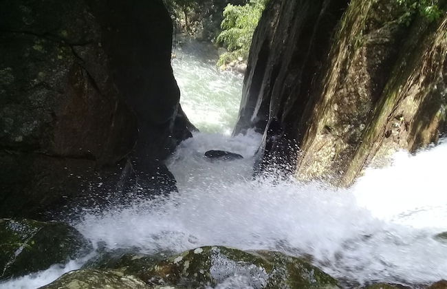 Tree House Rangala - Foto 2