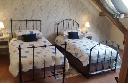 L'Effraie des Clochers - Foto 13