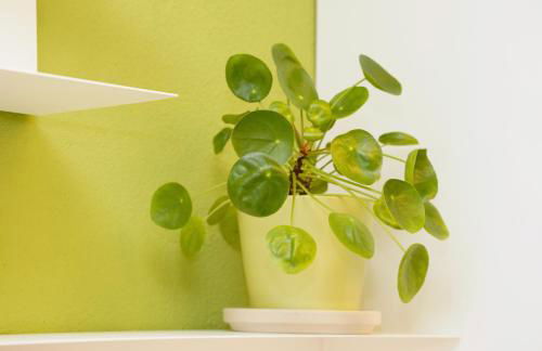 Yeganeh Stays Cologne - Foto 50