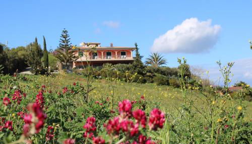 I Cardinali - Foto 5