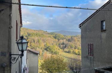 Vincent van Gogh Dolce Vita - Foto 25