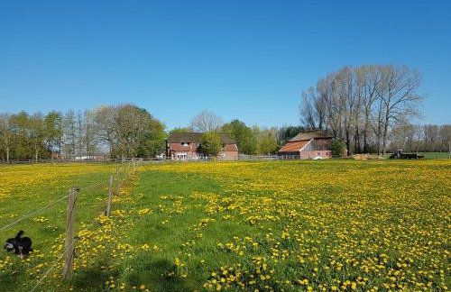 Ferienhof-Stoertebeker - Foto 15