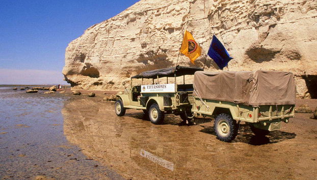 Camiones todoterreno en El Sótano