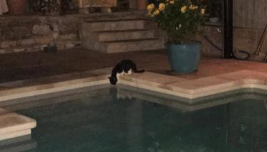 Casa Lisboa - Foto 4