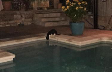 Casa Lisboa - Photo 8