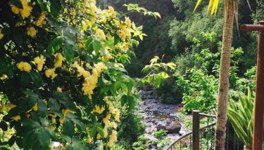 Moinho do Comandante - Foto 3