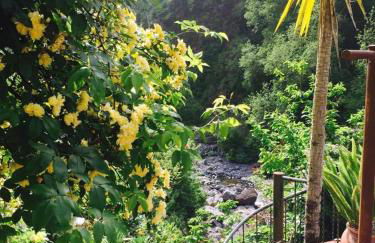 Moinho do Comandante - Foto 3