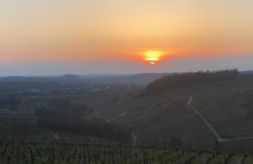 Location La Ferté, calme et proximité centre ville classé 3 Étoiles - Foto 34