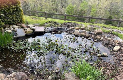 Buffalo River Lodge St Joe AR - Foto 44