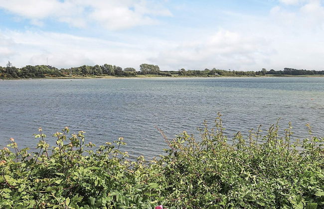 4 Person Holiday Home in Martofte - Foto 46