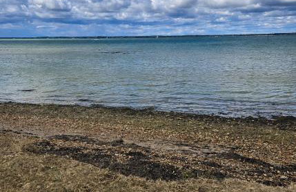 14b Medina Rise Thorness Bay Isle of Wight - Foto 21