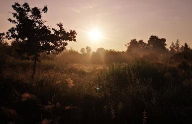 Na Chałupki - Foto 28