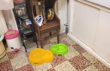 Maison à l'ancienne avec grand terrain , animaux bienvenus - Foto 24