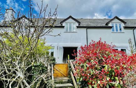 Damson Cottage - Peaceful location, charming communal orchard & private patio garden - Foto 20