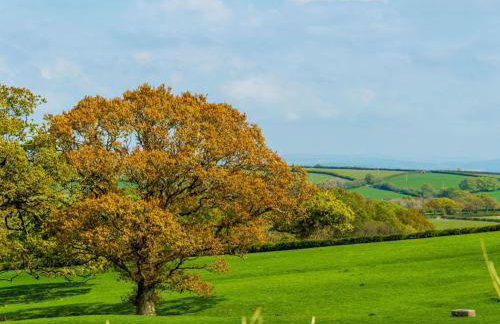 Chalet Lodge 2 - Hot Tub by Interhome - Foto 45