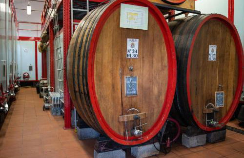 Agriturismo Vecchio Borgo di Inalbi - Foto 33