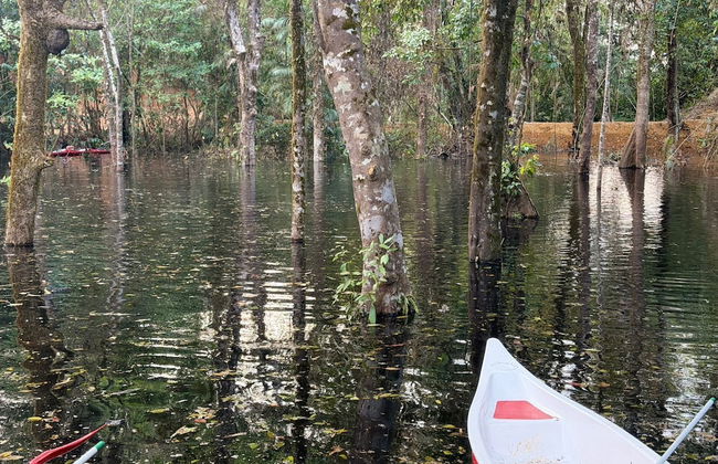 Coorg Tree House - Foto 31