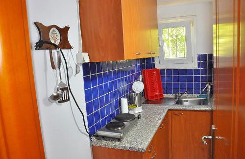 Studios Kostas & Despina - Photo 49