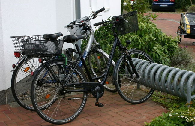Herring Gull in the Villa Meernixe Binz - Photo 18