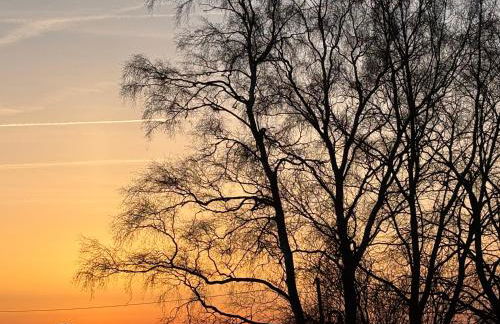 Meerblick-Ostsee - Foto 45