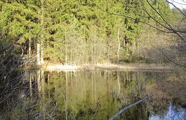 Apartment in Eifel Near Hiking Trails - Foto 23