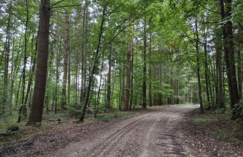 Ferienwohnung am Hof - Foto 18