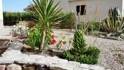 Appartamento del Cardellini - Foto 5, Garden