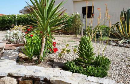 Appartamento del Cardellini - Foto 5