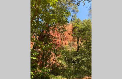 Appartement de charme au calme avec piscine, au pied du Colorado provençal, cœur du Luberon - Foto 10