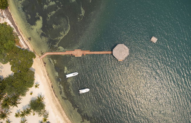 Tropical Breeze - Foto 10