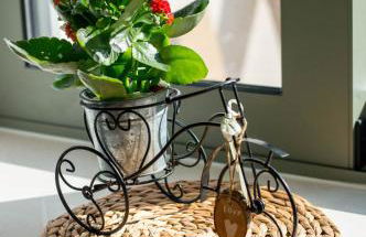 Anassa Mountain House - Foto 59