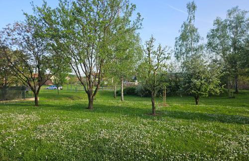 Apartman MAGDALENA - Foto 23