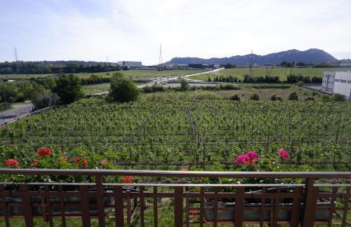 L'edera appartamento - Photo 6