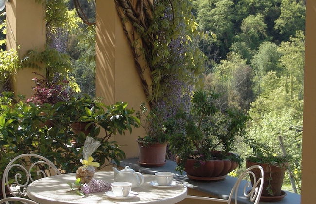 Villanova - Nature & Wellness - Foto 66