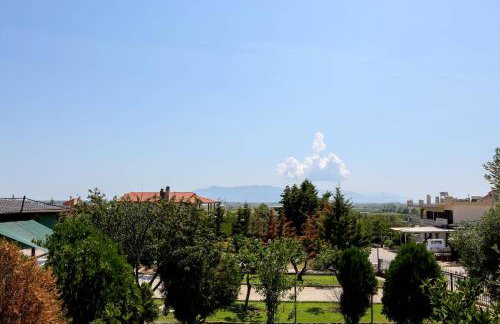 Village House - Photo 52