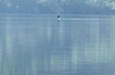 Bell Rock Holiday Lodge - Foto 25